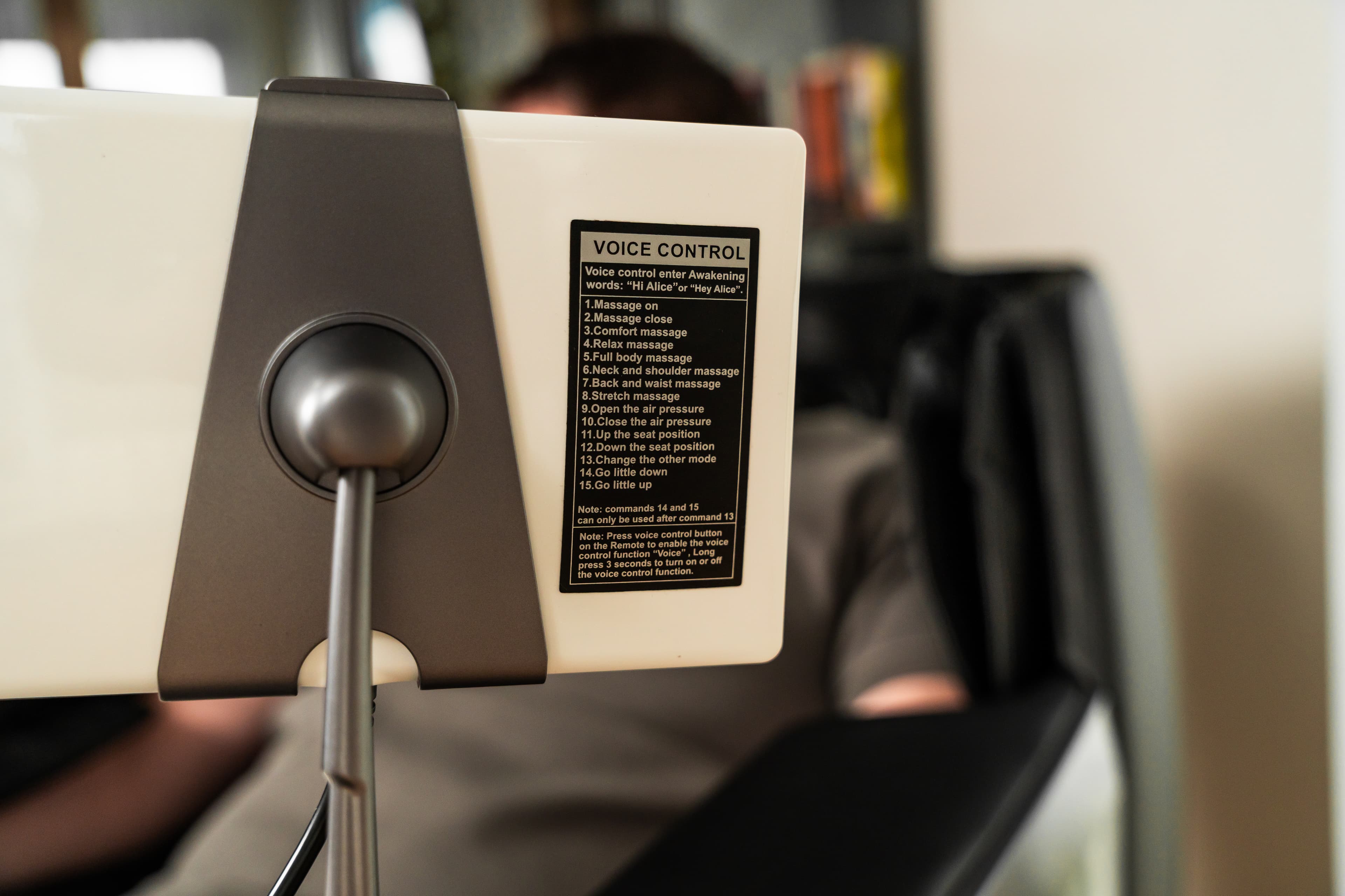 Voice-Activated Assistant