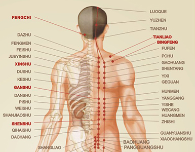 Complex massage for your back